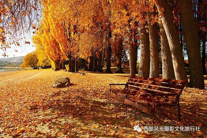 高端的ins风情侣网名